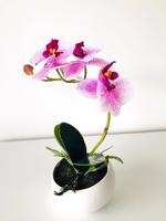 Orhidee artificiala alb-mov in ghiveci ceramic - 25 cm