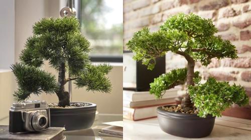  Bonsai Artificial - Reflectia Armoniei