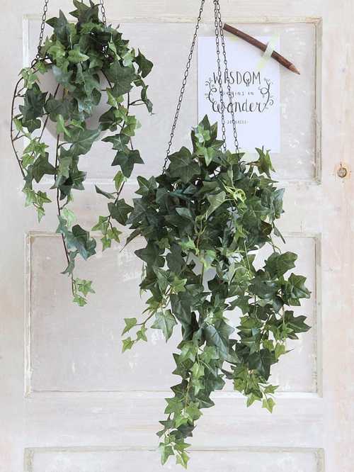  Integreaza plantele artificiale curgatoare in decorul locuintei tale!
