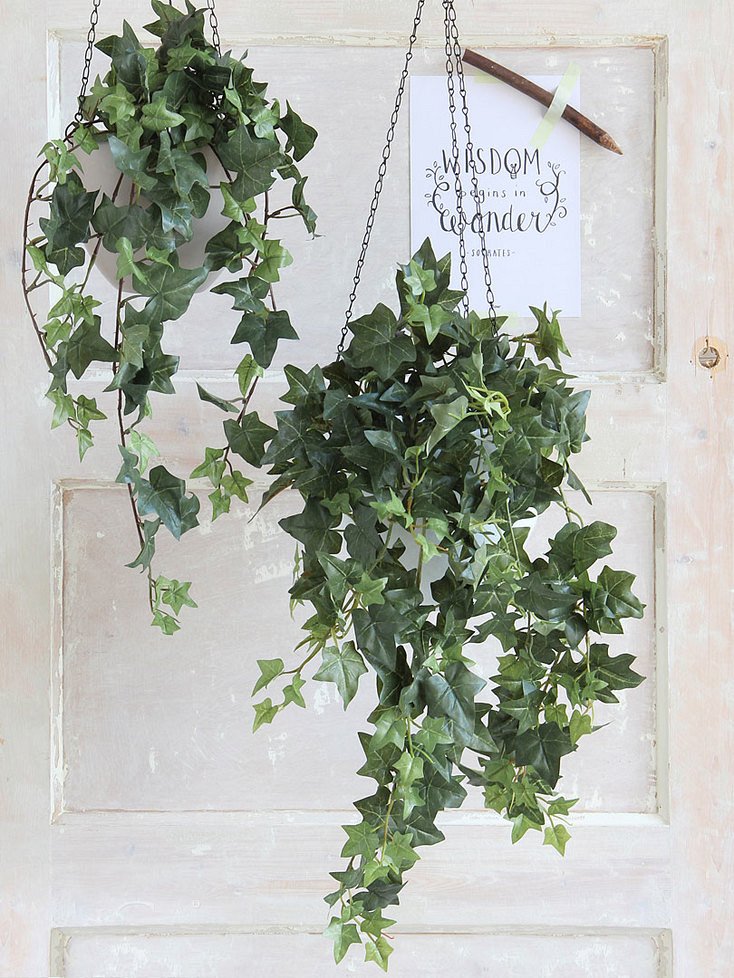 Integreaza plantele artificiale curgatoare in decorul locuintei tale!