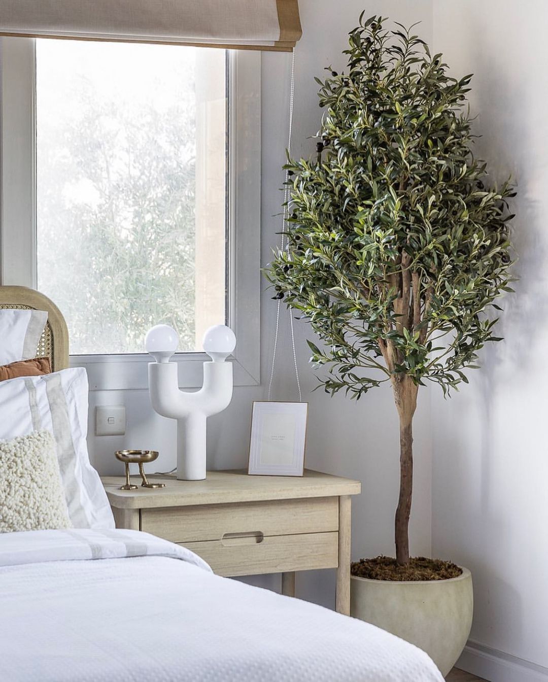 Arbori artificiali - Maslini artificiali