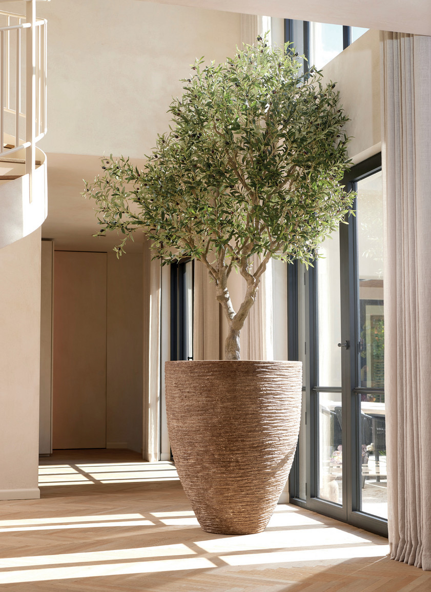 Arbori artificiali - Maslini artificiali