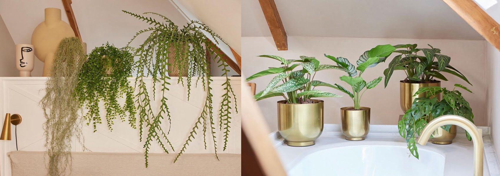 Plante Artifciale