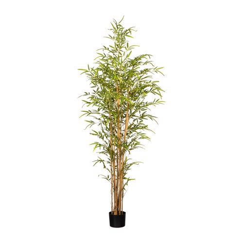 Bambus artificial decorativ x8 cu trunchi natural - 180 cm