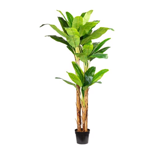 Bananier artificial x3 in ghiveci - 240 cm