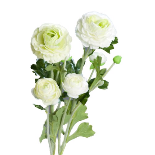 Buchet x3 ranunculus artificial crem-verde - 62 cm