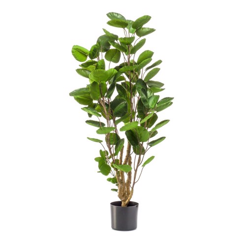 Copac artificial Poliscia (Polyscias) - 105 cm