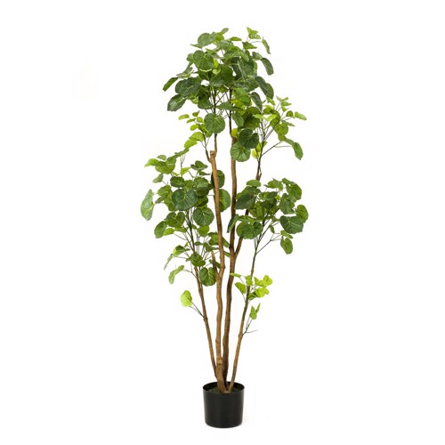 Copac artificial Poliscia (Polyscias) cu 279 frunze - 160 cm
