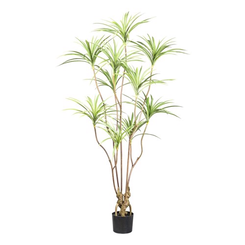 Copac artificial x10 Dracaena in ghiveci - 180 cm