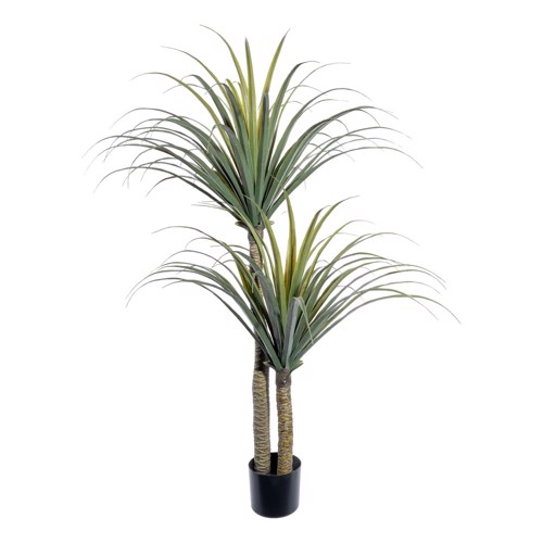 Copac artificial x2 Dracaena Draco - 130 cm