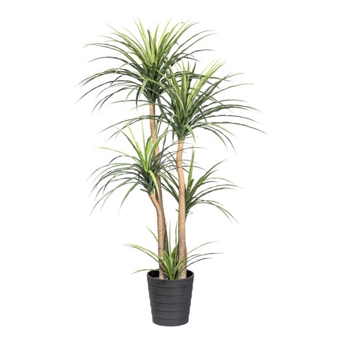 Copac artificial x3 Dracaena in ghiveci - 160 cm