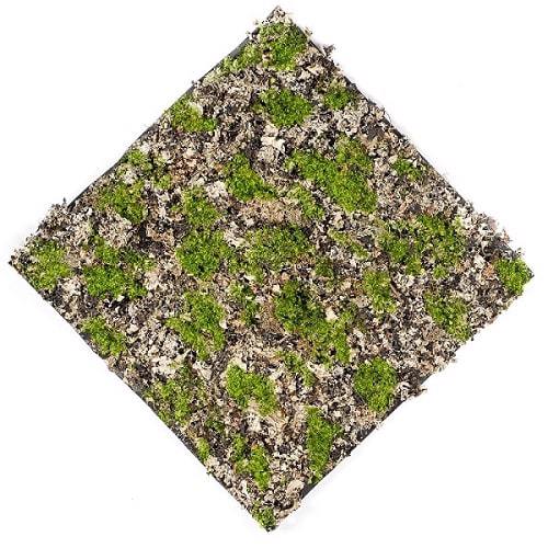 Covor muschi artificiala verde/gri - 50x50 cm