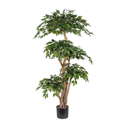 Ficus artificial Benjamina cu trunchi natural - 170 cm