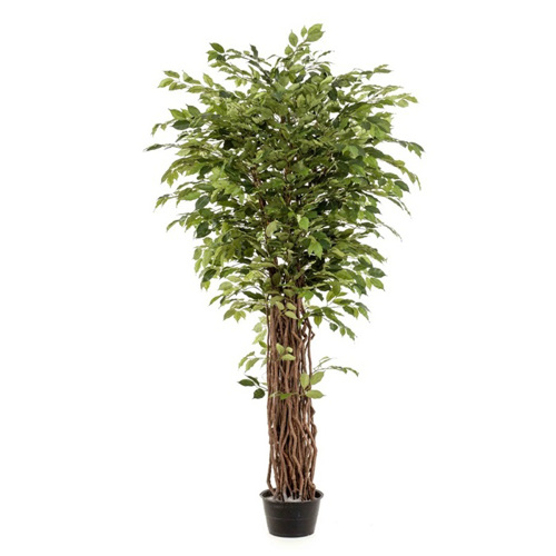 Ficus artificial Benjamina Liana deluxe - 205 cm 