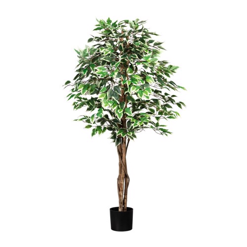 Ficus artificial Benjamina verde-crem cu trunchi natural - 150 cm