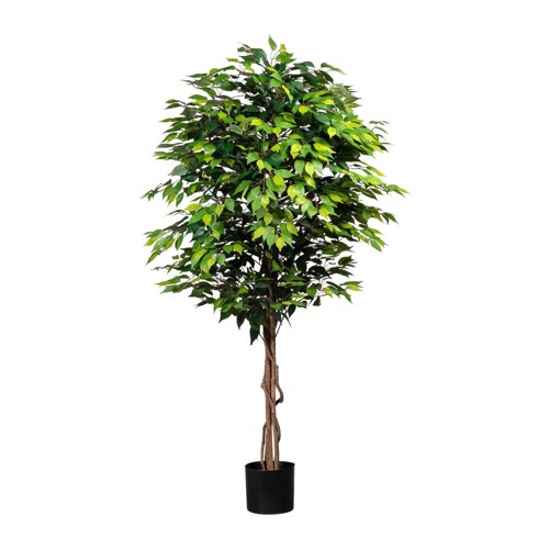 Ficus artificial decorativ Benjamina cu trunchi natural - 180 cm