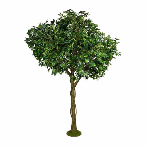 Ficus artificial decorativ Benjamina verde - 300 cm