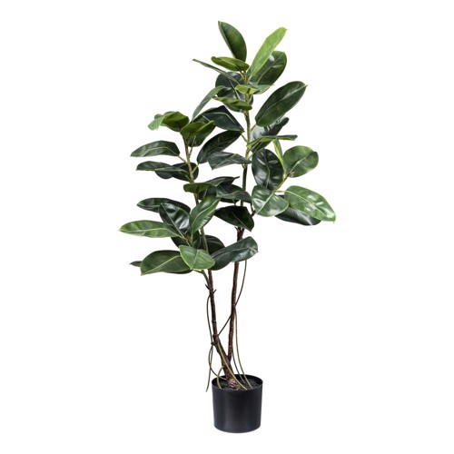 Ficus artificial Elastica in ghiveci - 150 cm