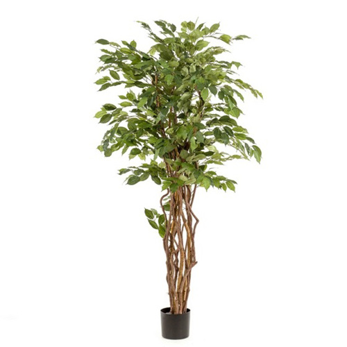 Ficus artificial Liana in ghiveci negru din plastic - 170 cm