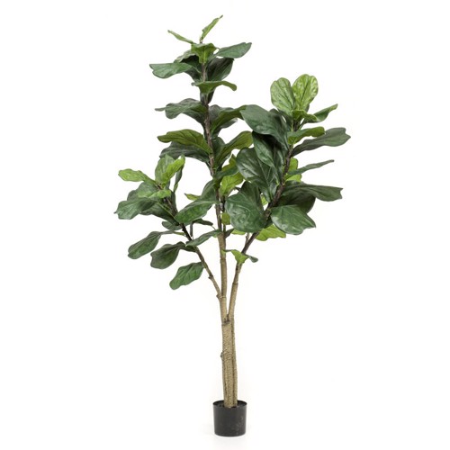 Ficus artificial Lyrata in ghiveci - 180 cm