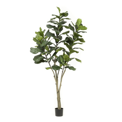 Ficus artificial Lyrata in ghiveci - 210 cm