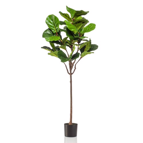 Ficus artificial Lyrata in ghiveci negru din plastic - 155 cm