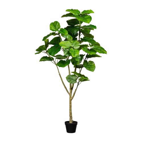 Ficus artificial Umbellata in ghiveci - 175 cm