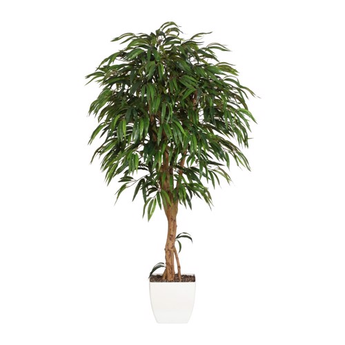 Ficus artificial Weeping cu trunchi natural in ghiveci - 180 cm