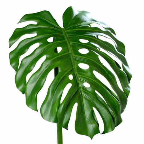 Frunza artificiala de Filodendron verde - 112 cm