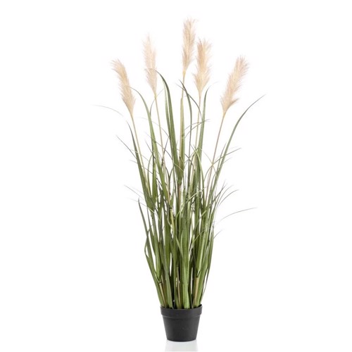 Iarba artificiala verde x5 Pampas crem - 130 cm