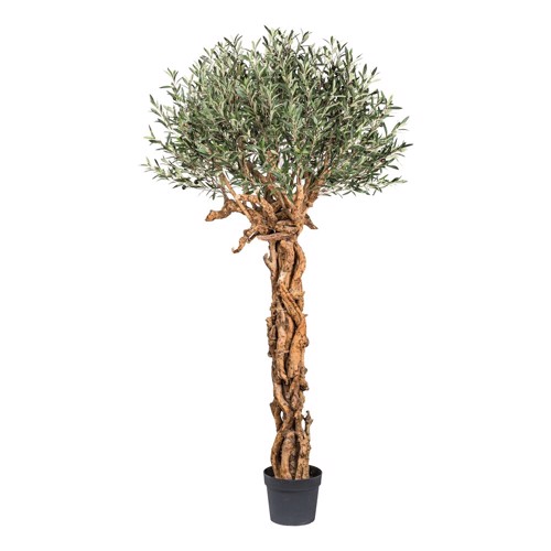 Maslin artificial cu trunchi natural - 220 cm