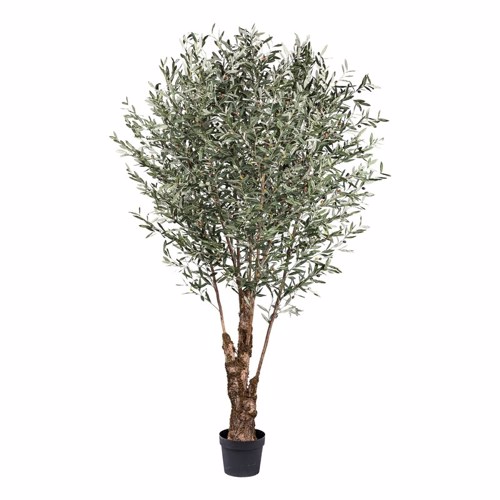 Maslin artificial gigant cu trunchi natural - 270 cm