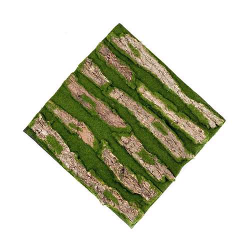 Muschi artificial BARK - 50x50 cm