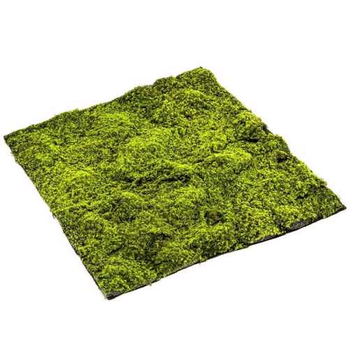 Muschi artificial decorativ - 100x100 cm