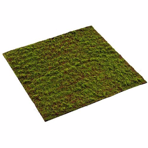 Muschi artificial decorativ Grimmia - 100x100 cm