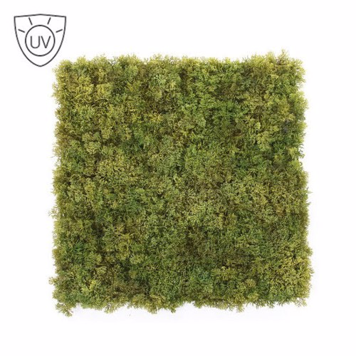 Muschi artificial decorativ tratat UV - 50x50 cm