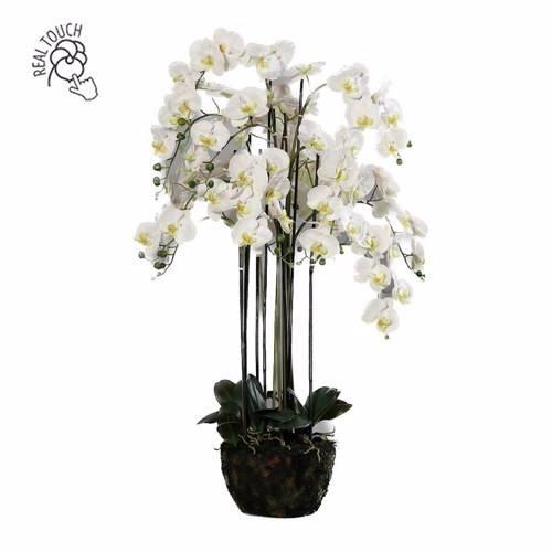 Orhidee artificiala crem pentru ghiveci - 140 cm