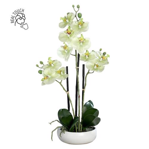 Orhidee artificiala verde-crem in ghiveci ceramic - 36 cm