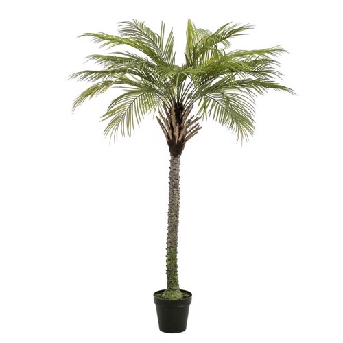 Palmier artificial decorativ Phoenix in ghiveci - 180 cm