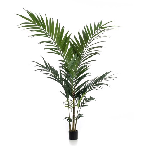 Palmier artificial Kentia in ghiveci - 150 cm