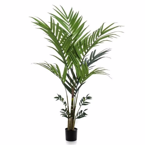 Palmier artificial Kentia in ghiveci - 180 cm