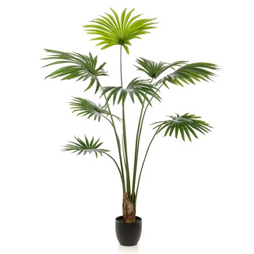 Palmier artificial Livistona in ghiveci - 160 cm