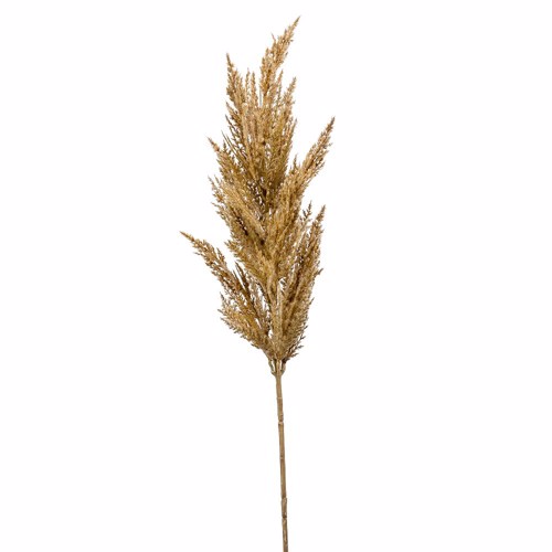 Pampas artificial decorativ bej - 92 cm 