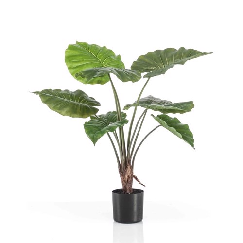 Planta artificiala Alocasia in ghiveci - 70 cm
