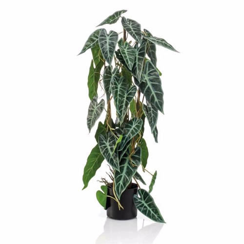 Planta artificiala Alocasia in ghiveci - 75 cm