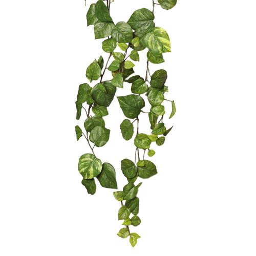Planta artificiala curgatoare Pothos verde - 180 cm