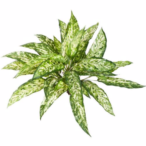 Planta artificiala decorativa Aglaonema verde-crem - 48 cm