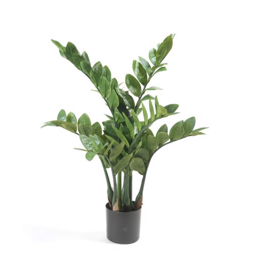 Planta artificiala Zamioculcas in ghiveci - 70 cm