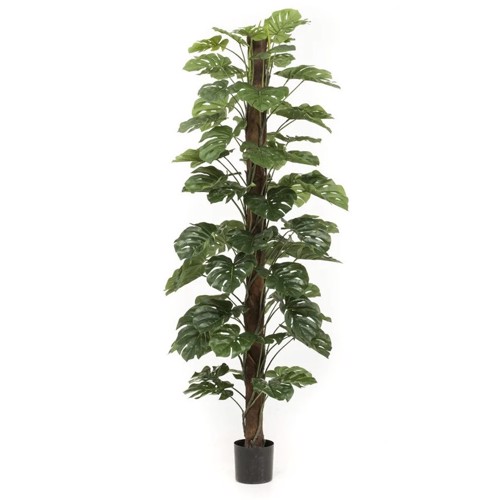 Planta artificiala Monstera in ghiveci - 210 cm