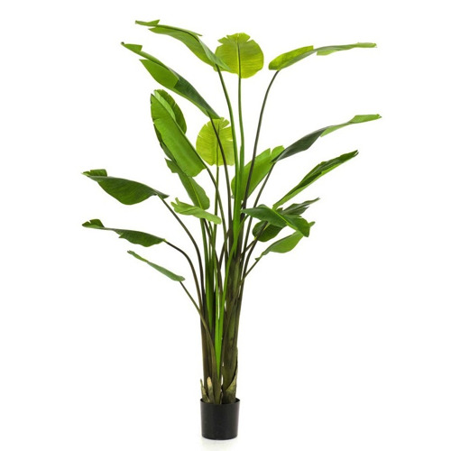 Planta artificiala Strelitzia Nicolai in ghiveci - 235 cm